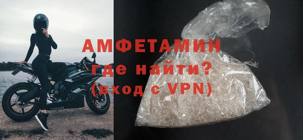 гашик Пересвет
