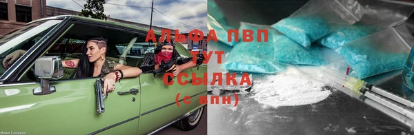 амф Алзамай