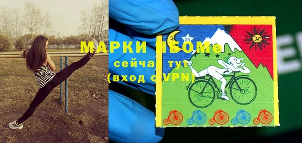 дмт Алексин