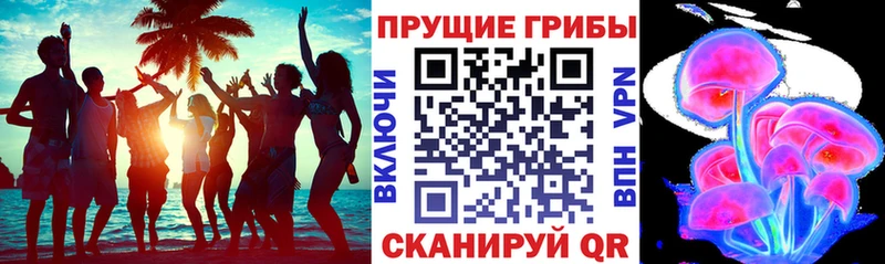 Псилоцибиновые грибы мухоморы  Верхоянск 